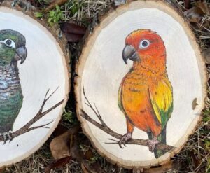 birds on wood